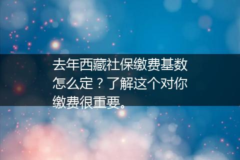 去年西藏社保缴费基数怎么定？了解这个对你缴费很重要。