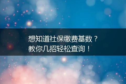 想知道社保缴费基数？教你几招轻松查询！