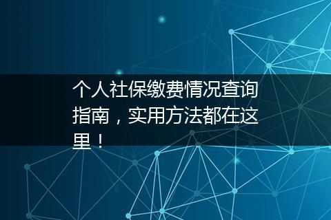个人社保缴费情况查询指南，实用方法都在这里！