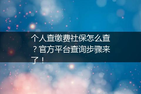 个人查缴费社保怎么查？官方平台查询步骤来了！