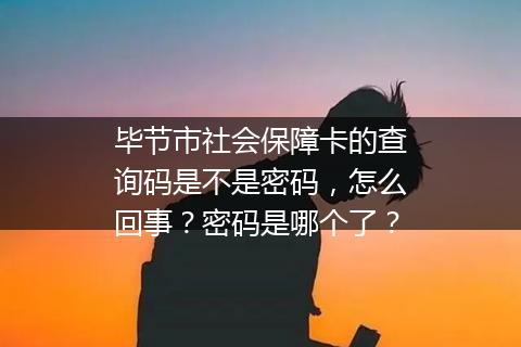 毕节市社会保障卡的查询码是不是密码，怎么回事？密码是哪个了？