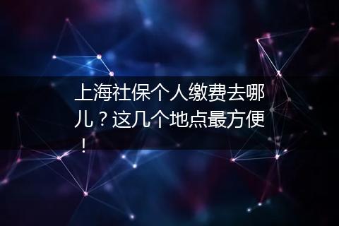 上海社保个人缴费去哪儿？这几个地点最方便！