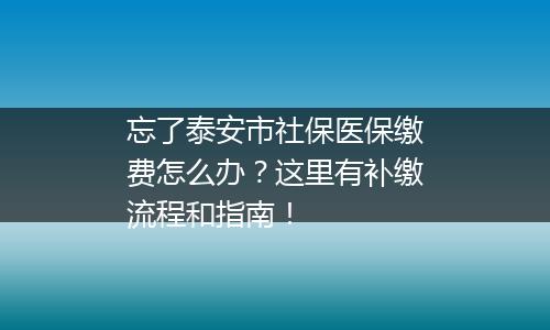 忘了泰安市社保医保缴费怎么办？这里有补缴流程和指南！