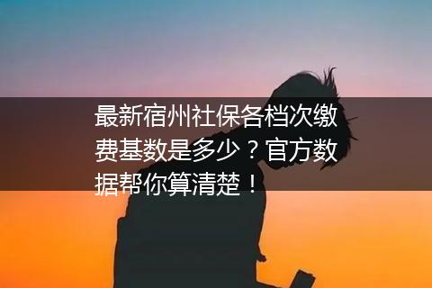 最新宿州社保各档次缴费基数是多少？官方数据帮你算清楚！