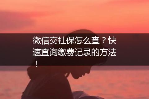 微信交社保怎么查？快速查询缴费记录的方法！