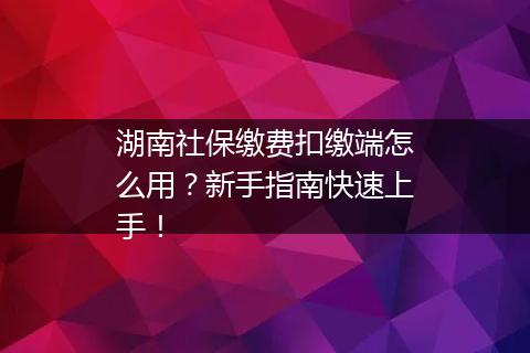 湖南社保缴费扣缴端怎么用?新手指南快速上手!