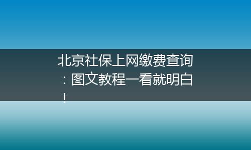 北京社保上网缴费查询：图文教程一看就明白！