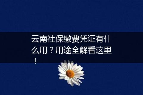 云南社保缴费凭证有什么用？用途全解看这里！