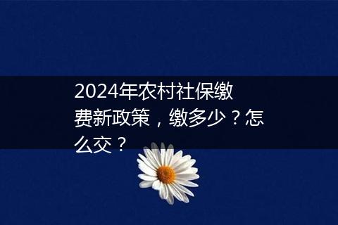 2024年农村社保缴费新政策，缴多少？怎么交？