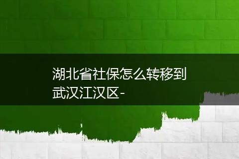 湖北省社保怎么转移到武汉江汉区-