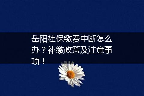 岳阳社保缴费中断怎么办？补缴政策及注意事项！