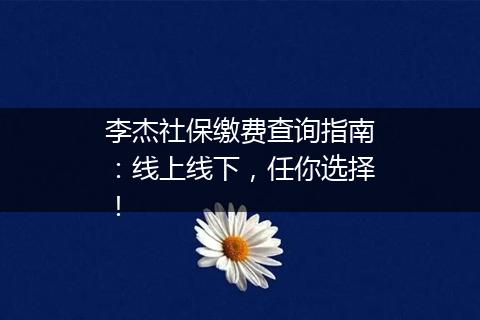 李杰社保缴费查询指南：线上线下，任你选择！