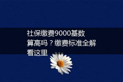 社保缴费9000基数算高吗？缴费标准全解看这里