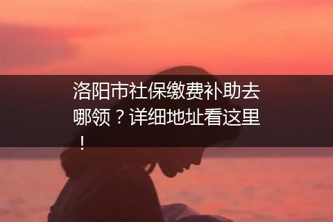 洛阳市社保缴费补助去哪领？详细地址看这里！