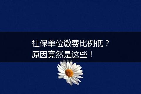 社保单位缴费比例低？原因竟然是这些！