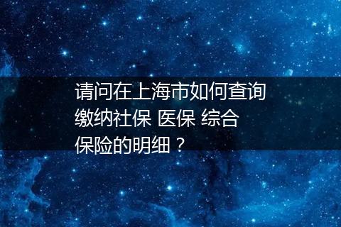 请问在上海市如何查询缴纳社保 医保 综合保险的明细？