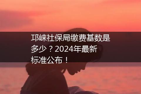 邛崃社保局缴费基数是多少？2024年最新标准公布！