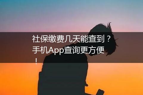 社保缴费几天能查到？手机App查询更方便！