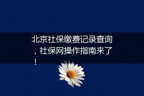 北京社保缴费记录查询，社保网操作指南来了！