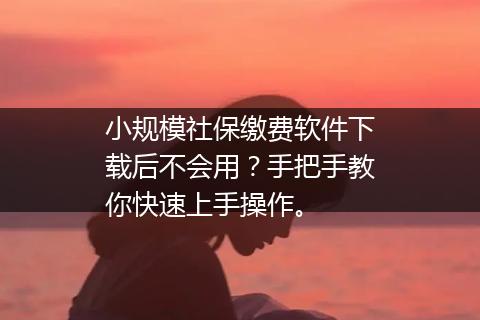 小规模社保缴费软件下载后不会用？手把手教你快速上手操作。