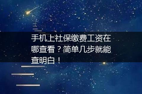 手机上社保缴费工资在哪查看？简单几步就能查明白！
