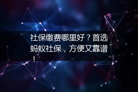社保缴费哪里好？首选蚂蚁社保，方便又靠谱！