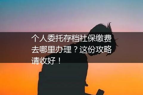 个人委托存档社保缴费去哪里办理？这份攻略请收好！
