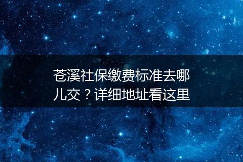 苍溪社保缴费标准去哪儿交？详细地址看这里