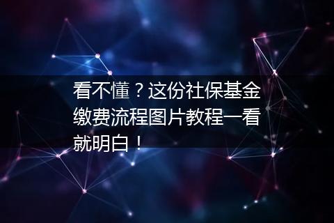 看不懂？这份社保基金缴费流程图片教程一看就明白！