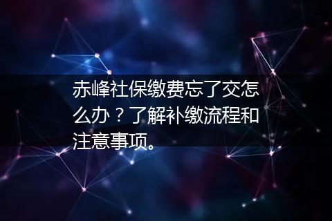 赤峰社保缴费忘了交怎么办？了解补缴流程和注意事项。