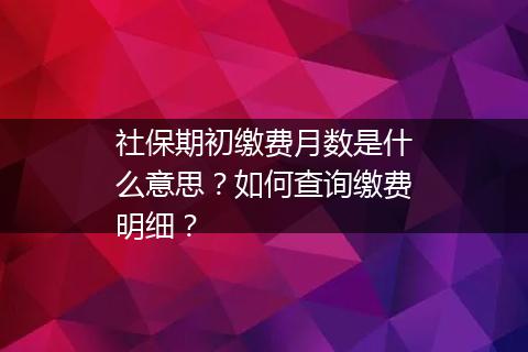 社保期初缴费月数是什么意思？如何查询缴费明细？