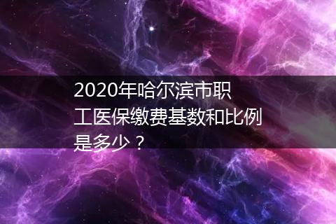 2020年哈尔滨市职工医保缴费基数和比例是多少？