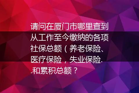 请问在厦门市哪里查到从工作至今缴纳的各项社保总额（养老保险、医疗保险，失业保险..和累积总额？