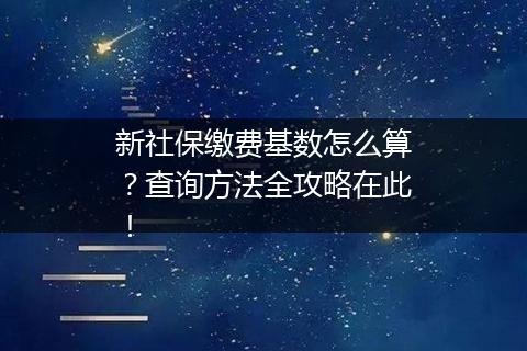 新社保缴费基数怎么算？查询方法全攻略在此！