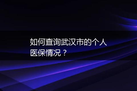 如何查询武汉市的个人医保情况？