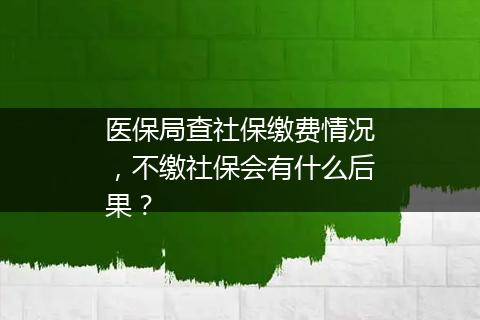 医保局查社保缴费情况，不缴社保会有什么后果？