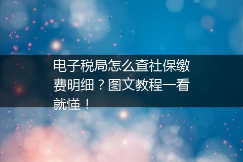 电子税局怎么查社保缴费明细？图文教程一看就懂！