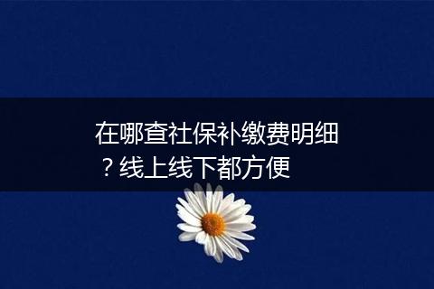 在哪查社保补缴费明细？线上线下都方便