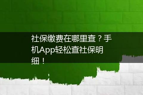 社保缴费在哪里查？手机App轻松查社保明细！