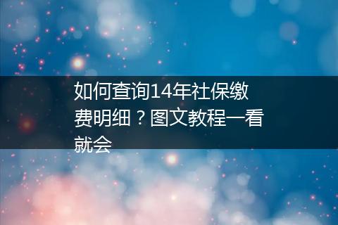 如何查询14年社保缴费明细？图文教程一看就会