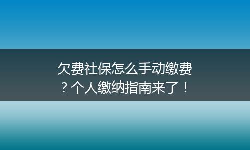 欠费社保怎么手动缴费？个人缴纳指南来了！