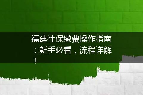 福建社保缴费操作指南：新手必看，流程详解！