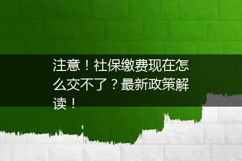 注意！社保缴费现在怎么交不了？最新政策解读！
