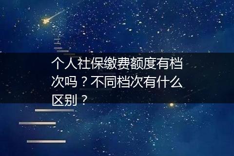 个人社保缴费额度有档次吗？不同档次有什么区别？