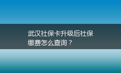 武汉社保卡升级后社保缴费怎么查询？