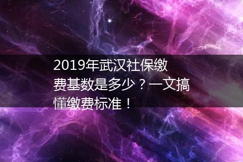 2019年武汉社保缴费基数是多少？一文搞懂缴费标准！