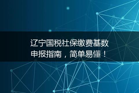 辽宁国税社保缴费基数申报指南，简单易懂！
