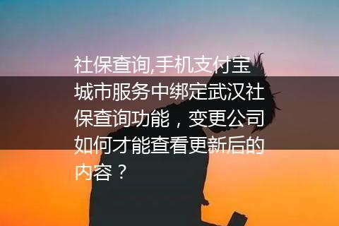 社保查询,手机支付宝城市服务中绑定武汉社保查询功能，变更公司如何才能查看更新后的内容？