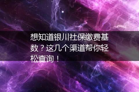 想知道银川社保缴费基数？这几个渠道帮你轻松查询！
