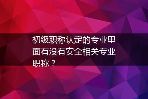 初级职称认定的专业里面有没有安全相关专业职称？